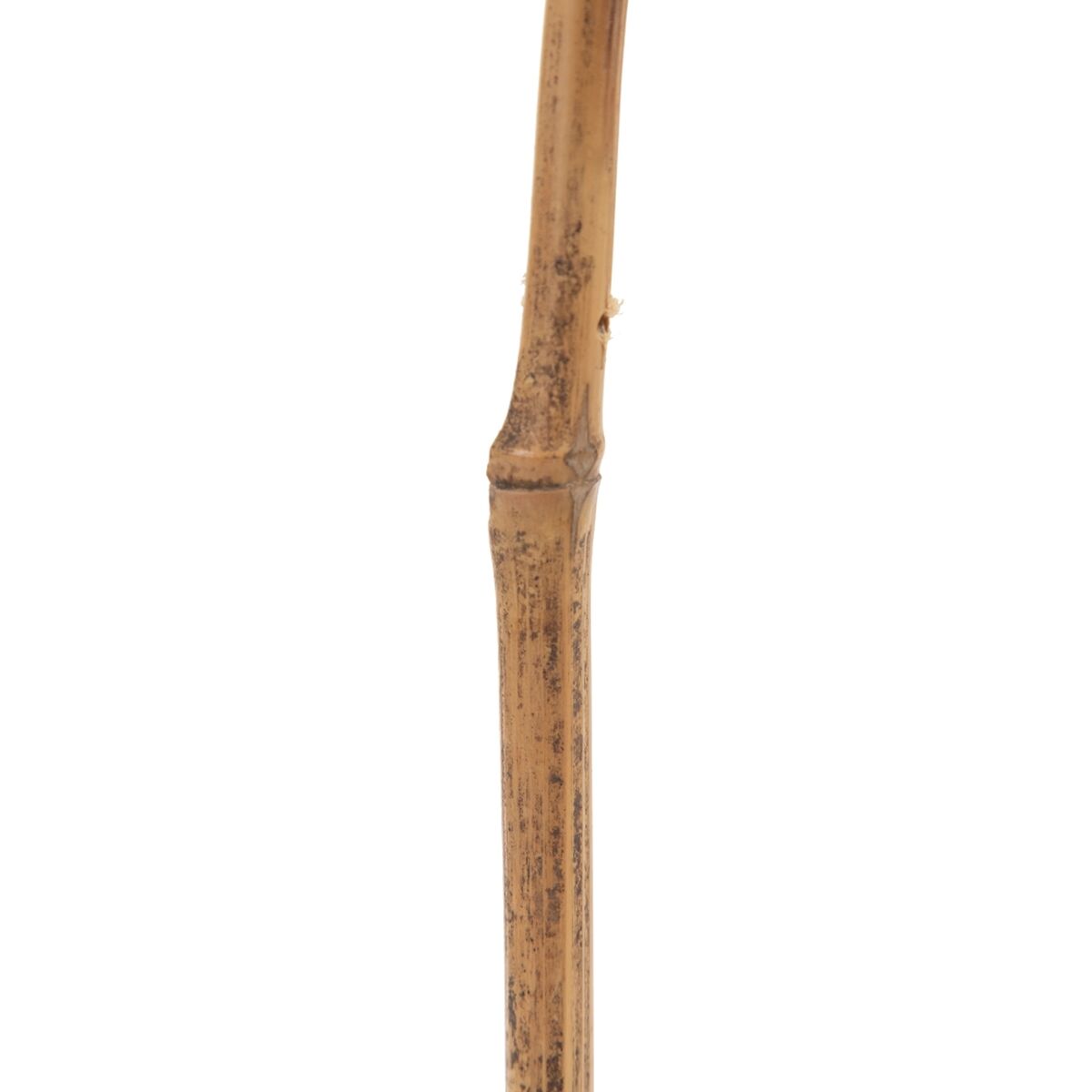 Rama Bege Bambu Fibra natural Flor 27 x 27 x 170 cm